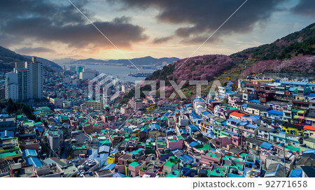 Gamcheon Culture Village, Aerial view Colorfull mountain village in Busan City, Busan, South Korea. Gamcheon Culture Village, Aerial view Colorfull mountain village in Busan City, Busan, South Korea. 92771658