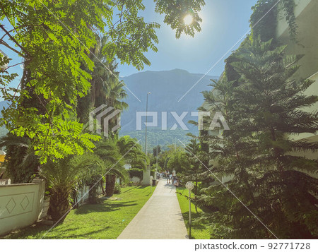 vacation in a hot, tropical country. mountain view next to a green garden with exotic plants. bright sun shines nearby vacation in a hot, tropical country. mountain view next to a green garden with exotic plants. bright sun shines nearby 92771728