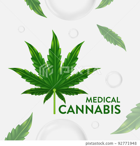 Marijuana , cannabis leaf vector illustration ,natural essence oil  92771948