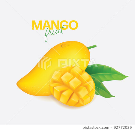 Fresh mango with slices and leaves Vector illustration Fresh mango with slices and leaves Vector illustration 92772029