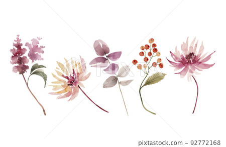 set of watercolor illustrations of pink flowers and plants on a white background.  92772168