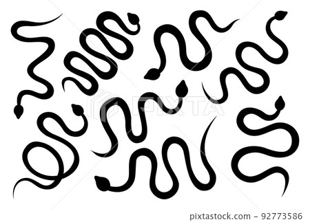 Black snakes silhouettes set. Tropical toxic reptiles. Dark hand drawn poisonous snakes. Dangerous exotic rattlesnakes isolated on white background. 92773586