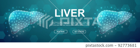 Liver polygonal symbol for promotion banner. Horizontal low poly poster illustration. Hepatitis, Organ anatomy design template illustration concept. 92773681