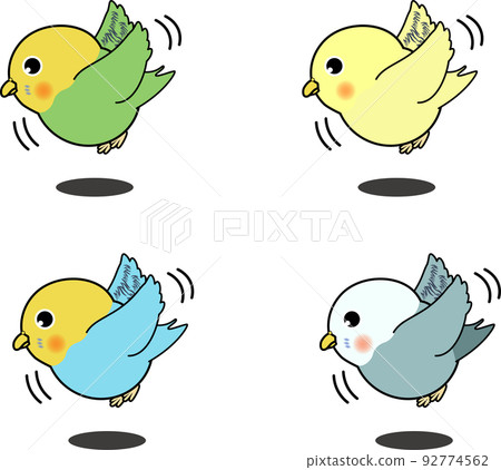 Cute budgerigar seen from the side flying 92774562