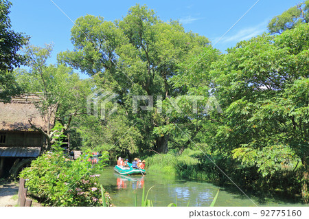 Summer in Azumino, the clear stream of Daio Wasabi Farm 92775160