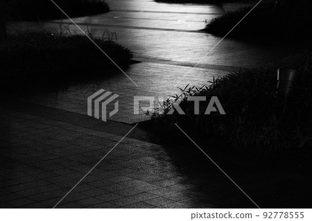 night road illuminated by lights 92778555