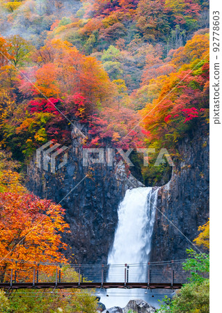娜娜瀑布（秋季） 92778603