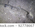 undersea maggot 92778667