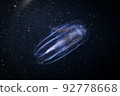Horned jellyfish floating in the sea at night 92778668