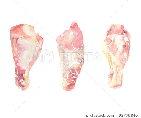 水彩畫的雞翅插圖 水彩畫的雞翅插圖 92779840