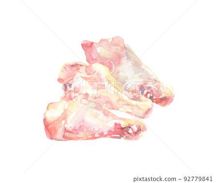水彩畫的雞翅插圖 92779841