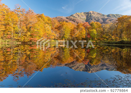 Climbing pond of autumn leaves Climbing pond of autumn leaves 92779864