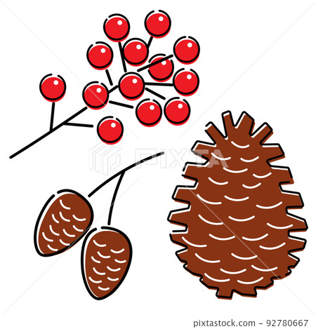 Illustration of nuts and pine cones Illustration of nuts and pine cones 92780667