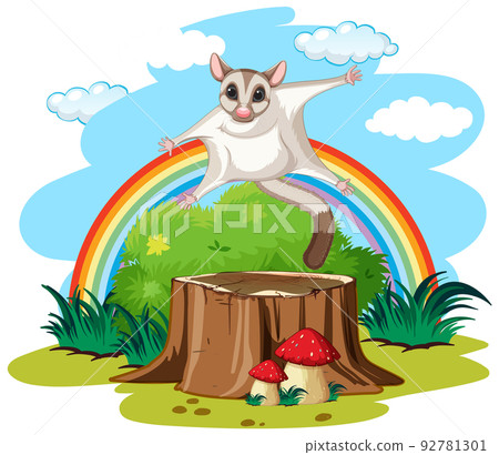 Garden scene with sugar glider on the log Garden scene with sugar glider on the log 92781301