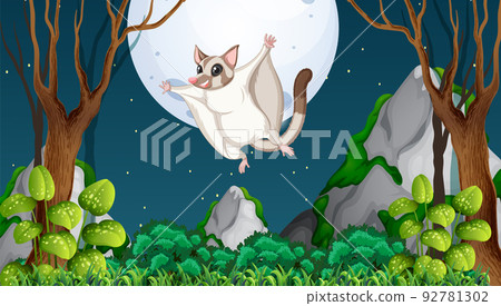 Scene with sugar glider in forest Scene with sugar glider in forest 92781302