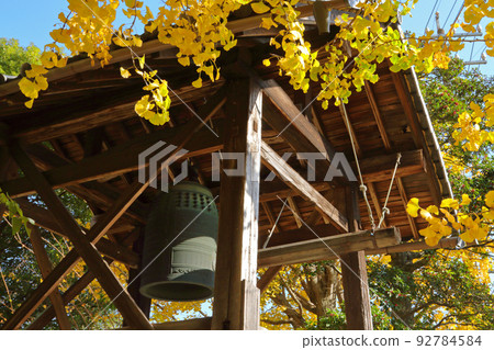 Ginkgo at Yusenji Temple, Sobue-cho, Inazawa City, Aichi Prefecture 92784584