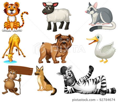 Set of animal cartoon character 92784674