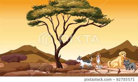 Set of different domestic animals in savanna field at sunset 92785571