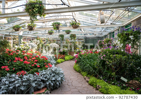 Ornamental garden planting in greenhouse in botanical garden in Chiang Mai province of Thailand. Greenhouse designed for the protection of plants against excessive cold or heat. Ornamental garden planting in greenhouse in botanical garden in Chiang Mai province of Thailand. Greenhouse designed for the protection of plants against excessive cold or heat. 92787430