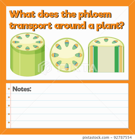 Science Experiment Log Worksheet Science Experiment Log Worksheet 92787554