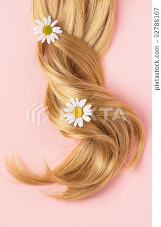 Long golden blond curly hair. A part of blond hair top view on pink background. 92788107