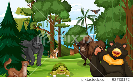 Forest scene with various wild animals Forest scene with various wild animals 92788372