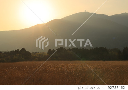 Hakone Sengaihara Susuki prairie 92788462