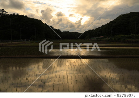 Yokohama City Jike Furusato Village Rice Fields 92789073