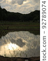 Yokohama City Jike Furusato Village Rice Fields 92789074