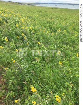 瓦卡原始花園風光 瓦卡原始花園風光 92789232