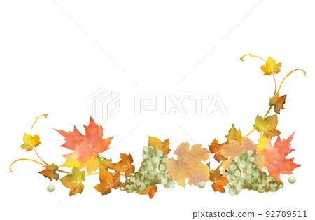 Autumn leaves and grapes decoration watercolor illustration Autumn leaves and grapes decoration watercolor illustration 92789511
