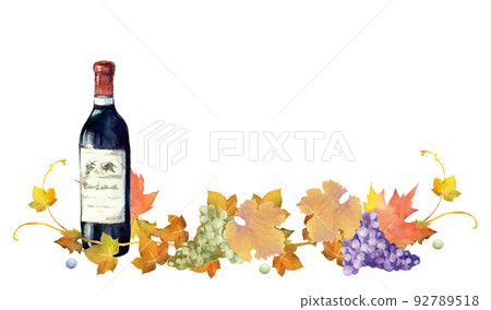 Watercolor illustration of wine bottle, grapes and dead leaves Watercolor illustration of wine bottle, grapes and dead leaves 92789518