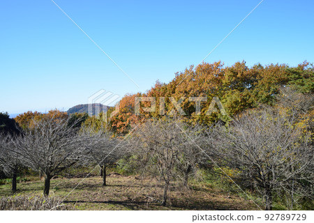 富宮山親友公園#7 92789729