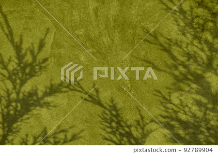 Shadow of leaves on olive green concrete wall texture background Shadow of leaves on olive green concrete wall texture background 92789904