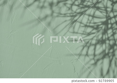 Shadow of leaves on gray green concrete wall texture background 92789905