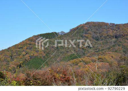 Tomiyasan Fureai Park #17 Tomiyasan Fureai Park #17 92790229