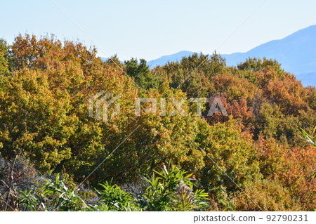 Tomiyasan Fureai Park #19 Tomiyasan Fureai Park #19 92790231