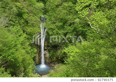 Komadome Waterfall in Nasu Kogen (from the observatory) 92790375