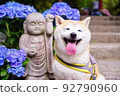 Shiba Inu and Jizo 92790960