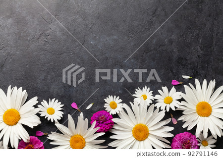 Chamomile garden flowers on stone background 92791146