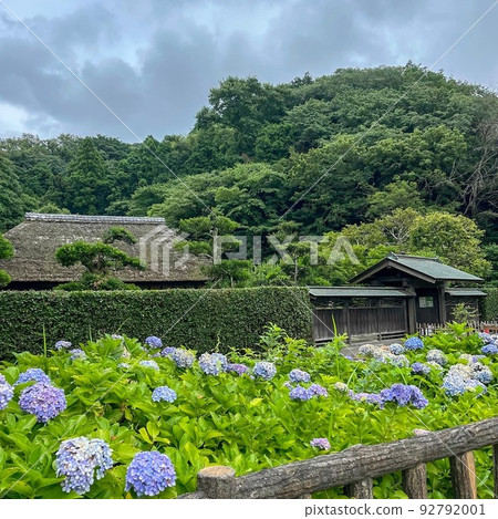Old folk house with blooming hydrangeas Old folk house with blooming hydrangeas 92792001