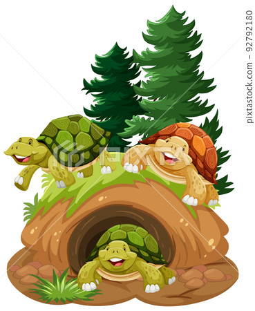 Group of tortoises in burrow Group of tortoises in burrow 92792180