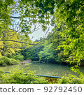A pond seen from behind a tree 92792450