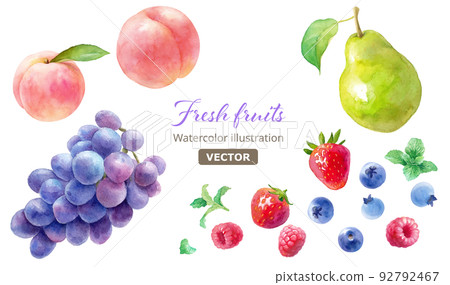 Watercolor illustration of three kinds of berries (raspberry, strawberry, blueberry) and peach, grape and pear. vector. 92792467
