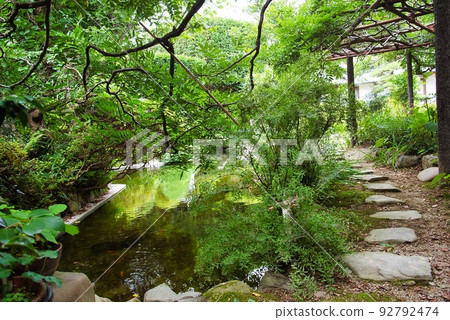 高安地藏寺_紫藤樹和石徑 92792474