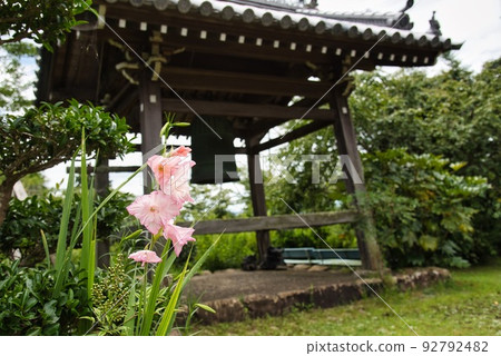 Koyasu Jizoji Temple_Temple bell and vermillion flowers Koyasu Jizoji Temple_Temple bell and vermillion flowers 92792482