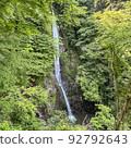 Waterfall in fresh green 92792643