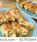 Delicious dumplings 92792644