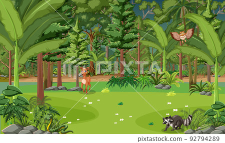 Forest scene with wild animals Forest scene with wild animals 92794289