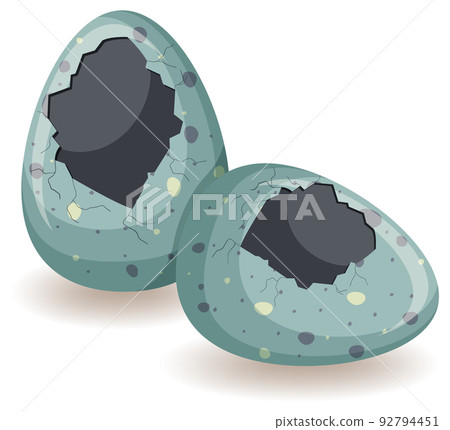 Two eggs with big cracks 92794451